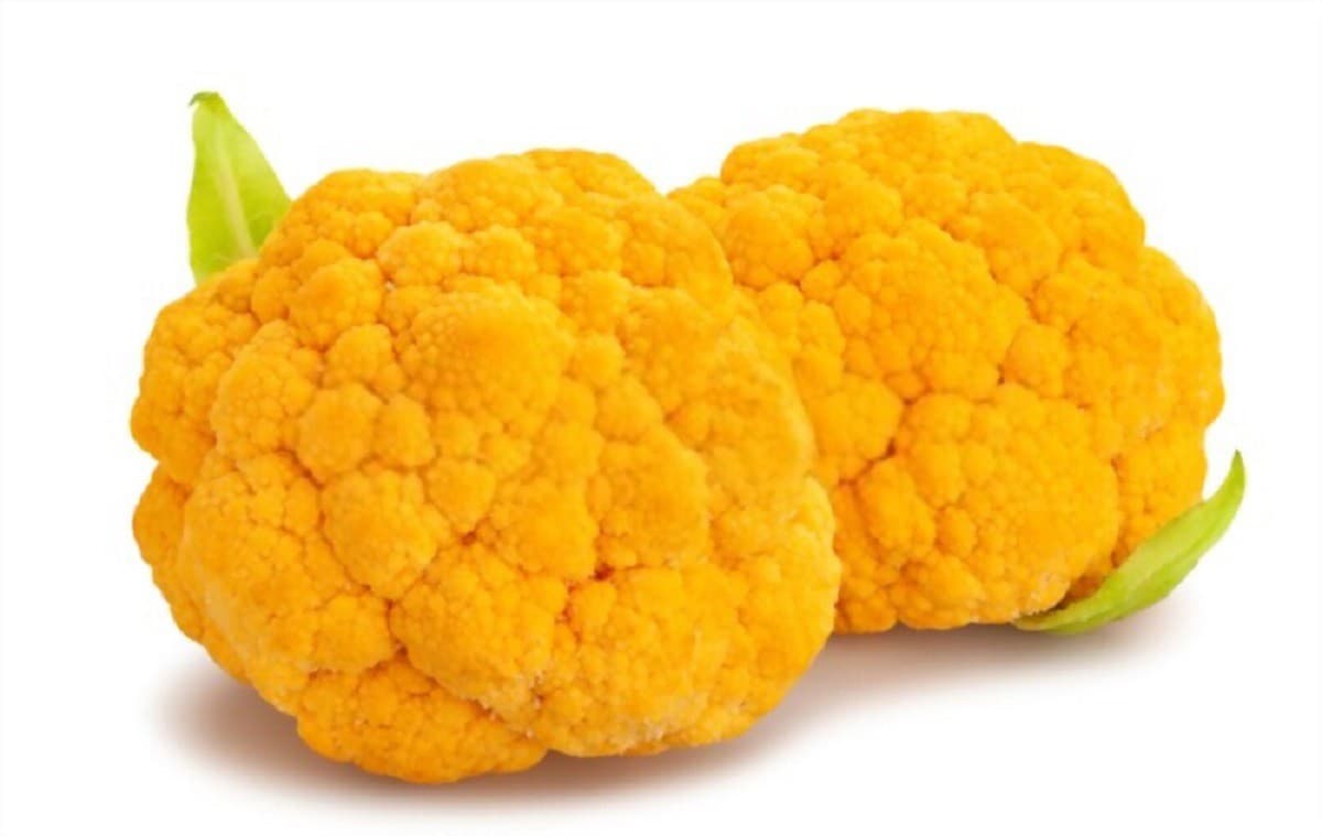 خرید گل کلم زرد + فروش صادراتی